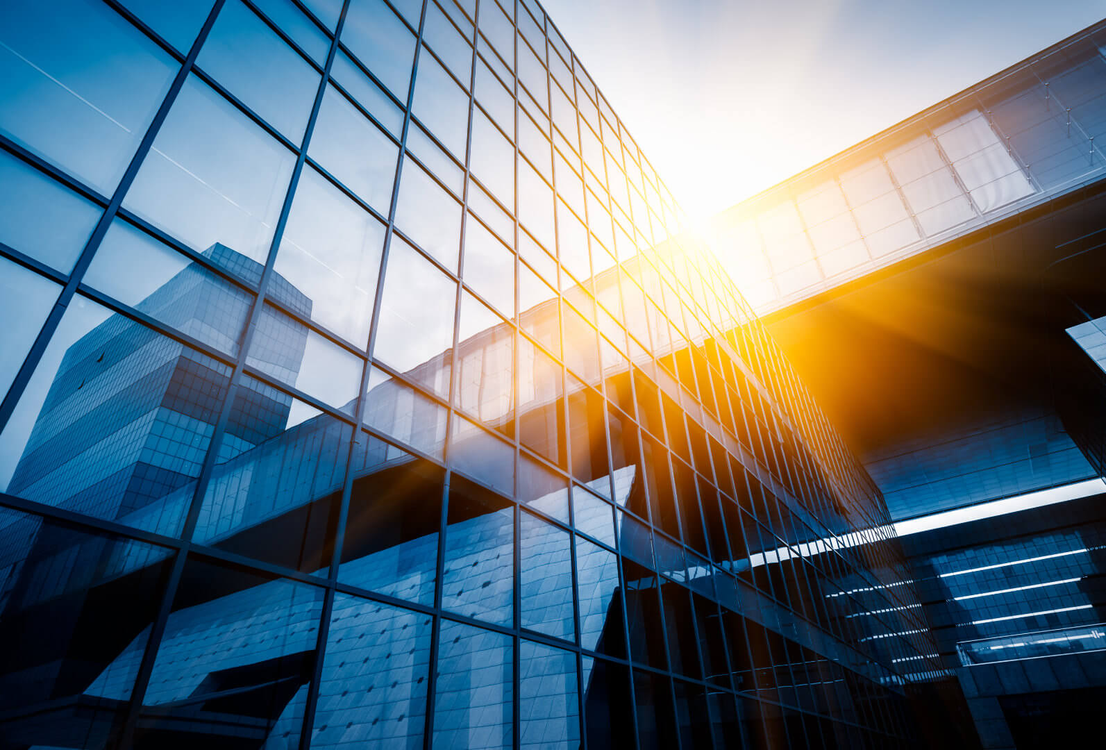 How to incorporate a Business in USA? (English)